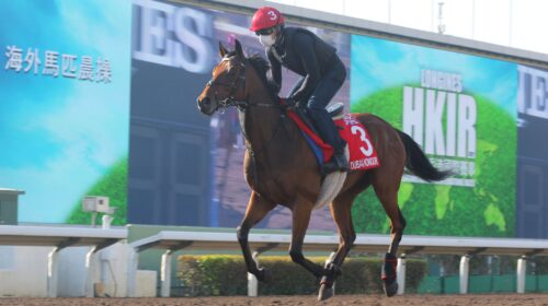 2_20211210-DUBAI-HONOUR-1Y1A0238sk-scale