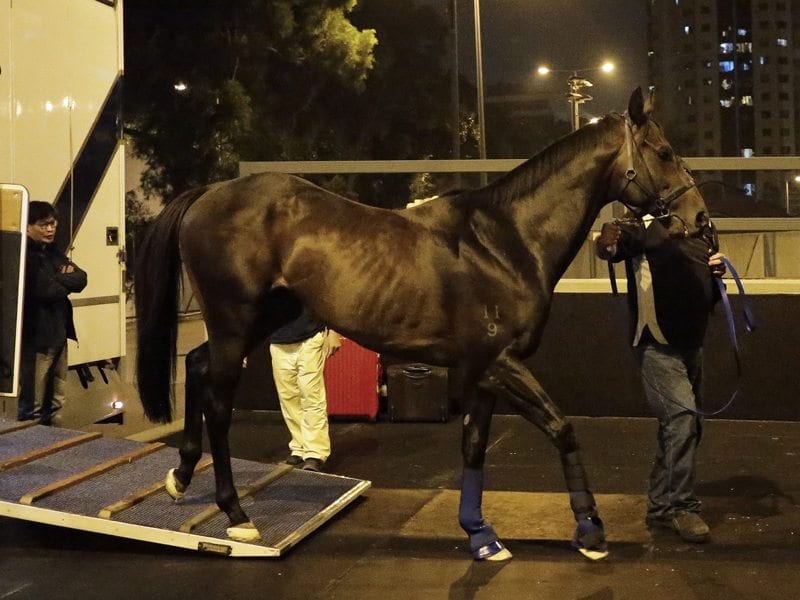 Rebel Dane arrives in Hong Kong