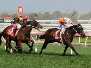 Bendigo Racing Tips & Best Bets - Sunday, 13 December 2020