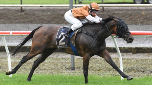 CHERRY-LANE-MATAMATA-4-12-2021-RACE-IMAG