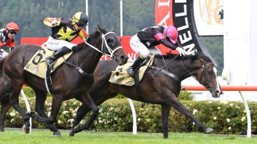 COVENTINA-BAY-WRC-20-3-2021-RACE-IMAGES-