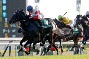 Grade 1 Hanshin Juvenile Fillies preview