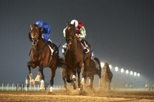 Parklife, Mears, Watson Trio Clash On Thursday At Al Ain