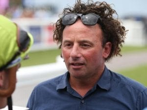 Drying powers set to suit Flemington pair