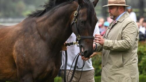 Gallops_Caviar_4-3_18150430_1995233_2020