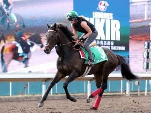 Prince Of Arran on target for HK Vase