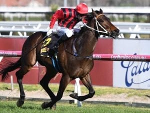 Lees stable loses top filly Smart Melody