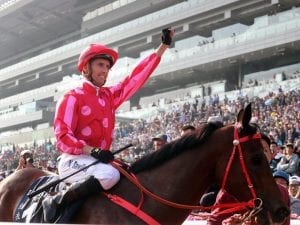 Nash Rawiller wins his first Hong Kong G1