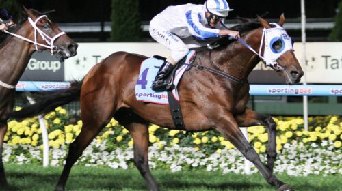 Highly-Recommended-wins-the-Alister-Clar