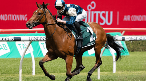 Horse-coolangatta-168508-750x500-1-500x2