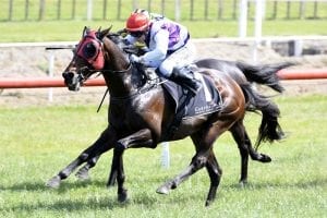Emperor hoping to take the Group 1 throne