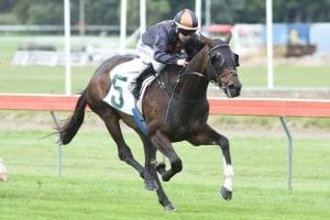 Our Abbadean set for Captain Cook