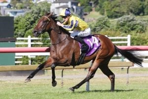 Princess Rihanna winning at Ellerslie