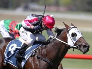 Really Swish gets maiden win at Sandown