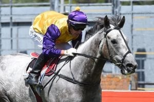 Stratocaster unfazed by Melbourne trip