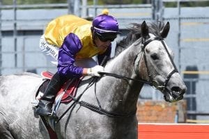 Stratocaster unfazed by Melbourne trip