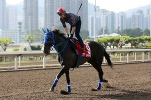Hong Kong International Races: Tuesday, December 4 track notes