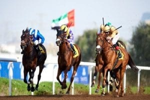 Draco Looks To Lay Down Law In Jebel Ali Feature