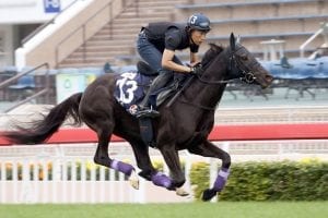 Japan’s raiders dash with colour on the Sha Tin turf