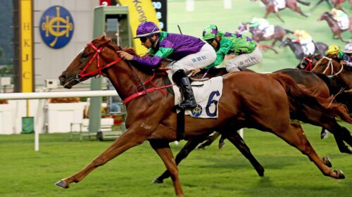 1_20201004_ST_R10_90I5329sk-scaled-1-500