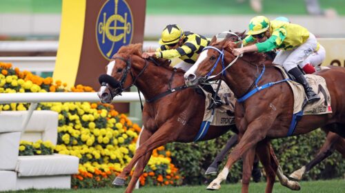 1_20210123-ST-R3-JCX37776o-scaled-1-500x