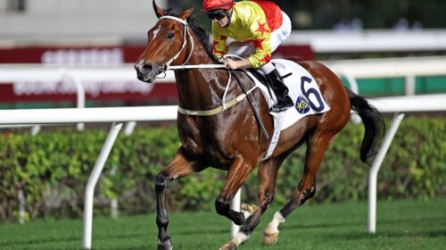 1_202111212-ST-R10-6-Horse-shot-JCX30665