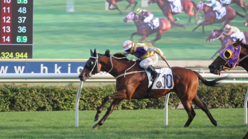 1_20211218-ST-R8-90I0309o-scaled-1-500x2