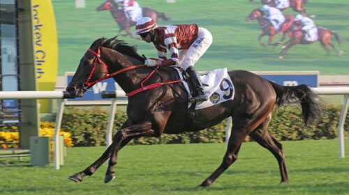 1_20220116-ST-R8-90I4880j-scaled-1-500x2