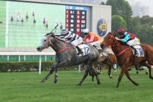 Fifty Fifty will contest the HK G1 Stewards Cup