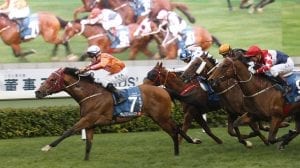 Helene Paragon could win Stewards Cup again