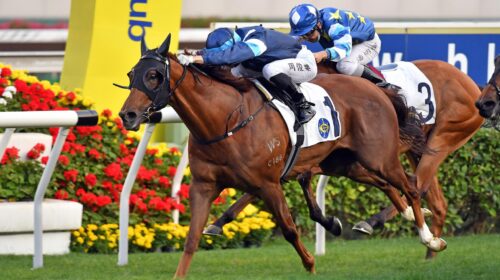 20210328-ST-R10-1-Horse-shot-ORL_6675o-s