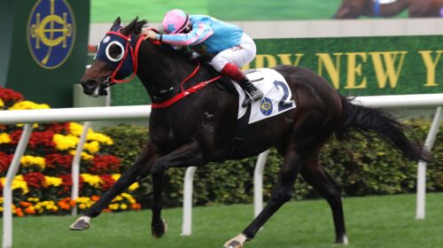 2022-0101-HealthyHappyLeadPic-scaled-1-5