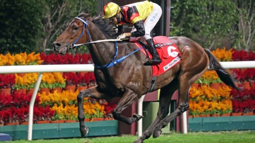 20220105_Zebrowski-Lead-Pic-scaled-1-500