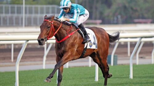 20220116_leadpic16january_1-scaled-1-500