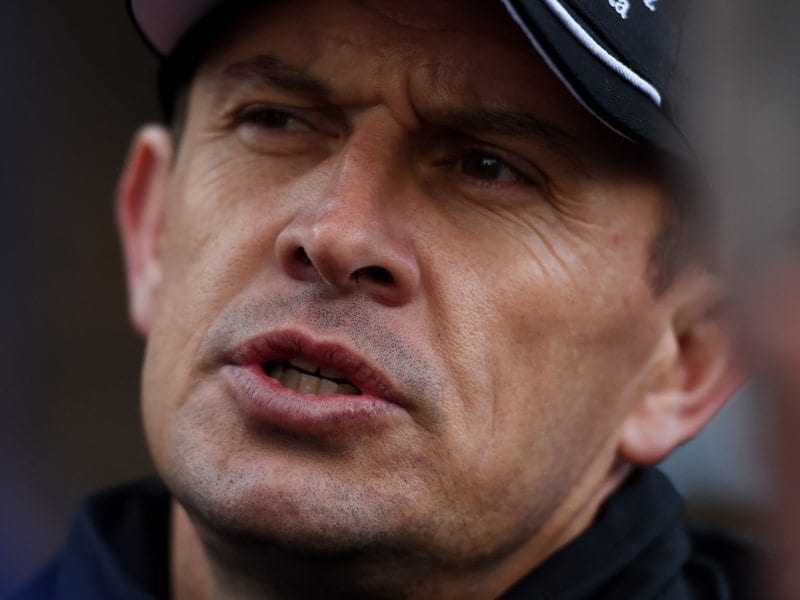 Trainer Chris Waller