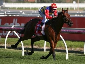 Rock 'n' Gold wins John Dillon Stakes