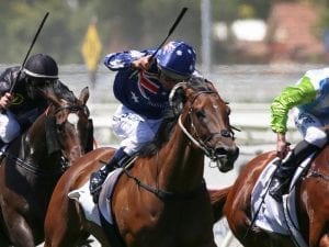 Crack The Code wins narrowly at Caulfield