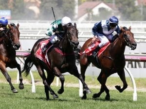 Catch Me equal favourite for Blue Diamond