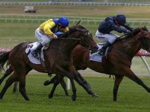 Unbeaten colts Long Leaf & Run Naan clash in Blue Diamond Preview
