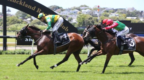 Concert-Hall-AM6Q1889-scaled-1-500x280.j