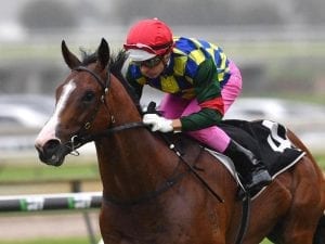 Two trial choices for Magic Millions Classic hope Fullazaboot
