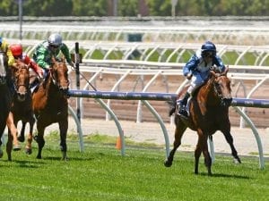 Jedastar too speedy in Flemington debut