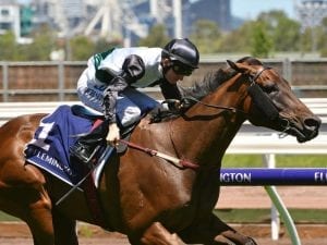 Poy joins father in win for Lindsay Park