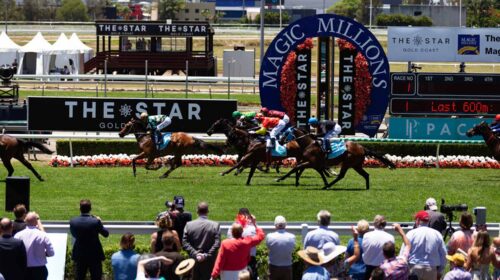 GCTC_Magic_Millions_2019_193-1-500x280.j