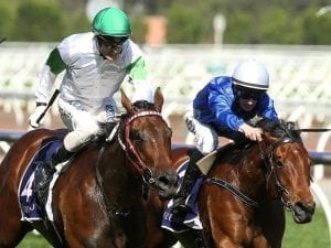 Whispering Brook wins Australia Stakes