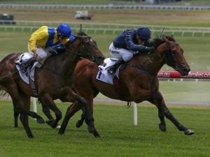 Long Leaf wins Karaka 3YO Classic