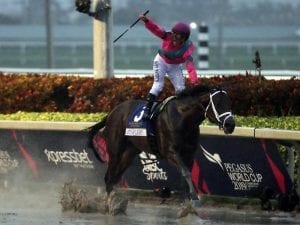 City of Light wins $9 million Pegasus Cup