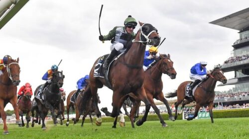 Gallops_Waller_Ascot_4-3_17463458_197671