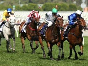 Weir runners on target for G1 Orr Stakes