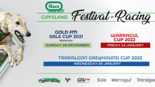 Gippsland-Festival-2021-22-1-1024x425-2-